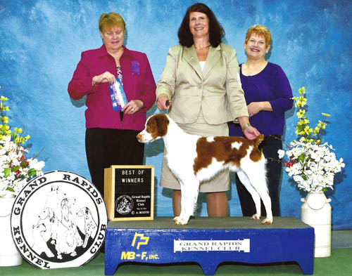 Renegade's Dash of Suspense BOW Kalamazoo