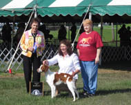 Dash Best of Winners