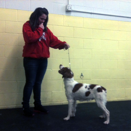 Trace paying attention to Ashlee